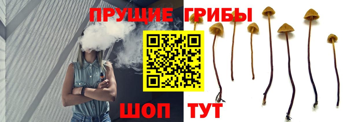 Галлюциногенные грибы мицелий  хочу   Кимры  Вход с VPN  Галлюциногенные грибы ЛСД 